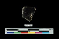 藏品(黑雲母)的圖片